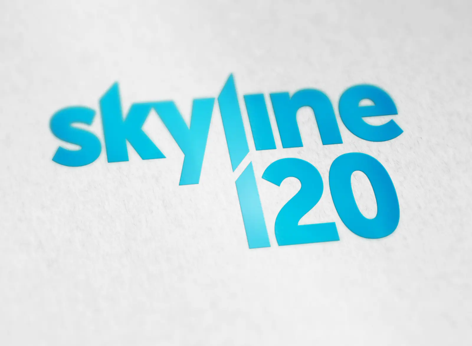 Skyline 120 logo