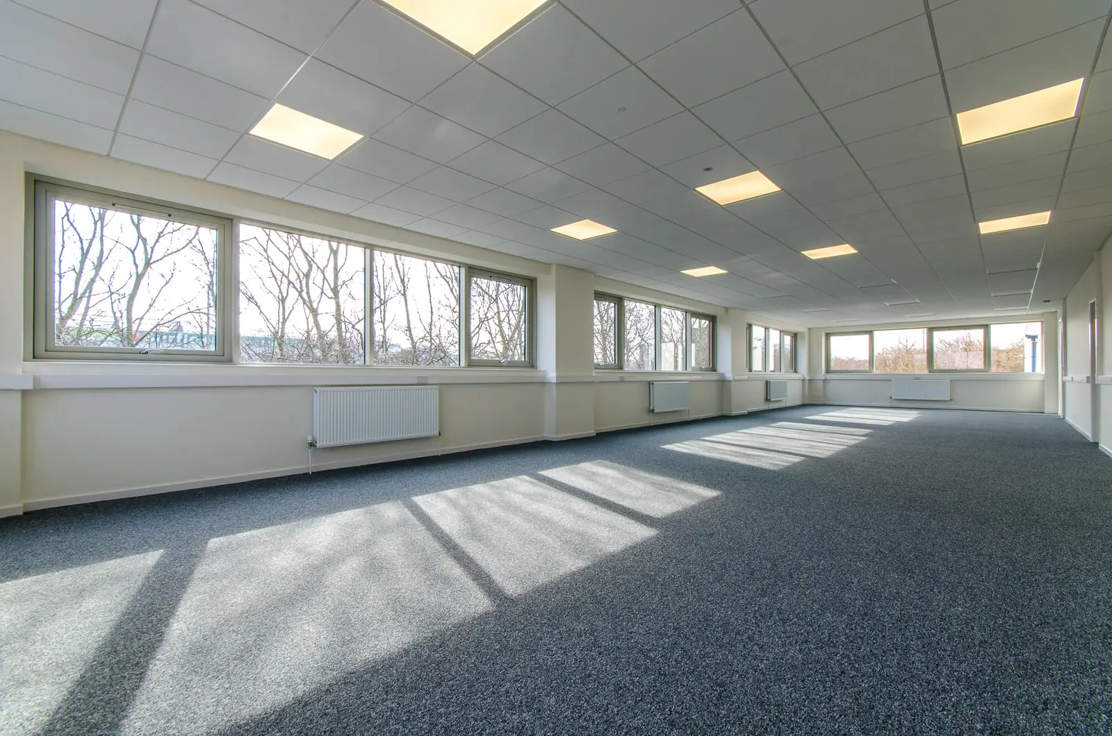 Office suite with a wall of windows